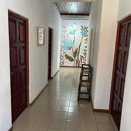 Hotel Villa Margarita Flores Exteriér fotografie